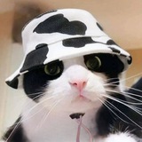 $MooCat Portal 🐱🐮