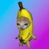 BANANA CAT $BCAT on SOL