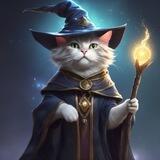 Maow Maow Potter