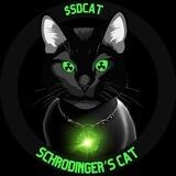 Schrödinger’s Cat 😺 🔊