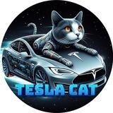 TESLA CAT CHANNEL