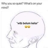2nd tweelies.
