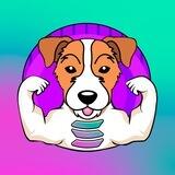 Jack Russell SOL