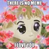 There Is No Meme I Love You