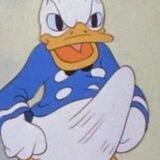 Green Duck Chat