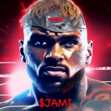 $JAMI - Jake Mike Official Group (SOL)
