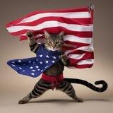 $CATNINJA