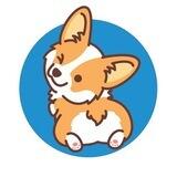 Corgly Inu Official