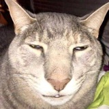 Дитт