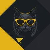 Catamoto