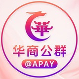 公群1000 凤凰集团精仿1.1假钞 上押15000U