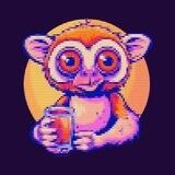 Slow Loris $SLR verification