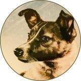 LAIKA | LP locked 66 Years