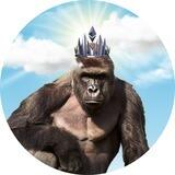 Harambe Portal