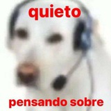 Pensando Sobre