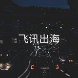 飞讯出海-WS直登🔥ws直登号🔥WhatsApp直登