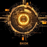 BKOK FinTech English