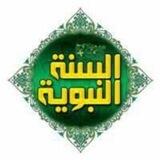 صحيح السنة النبوية