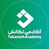 آکادمی تکانش