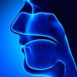 Dr.Assaye ENT SURGERY/ዶ/ር አሳዬ የአንገት በላይ ቀዶ