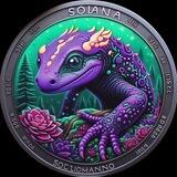 Sally Coin