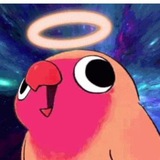 Silly Bird