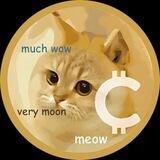Catecoin | Community Takeover