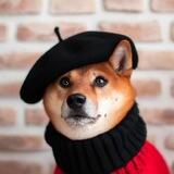 Shiba wif beret | by OpenAI