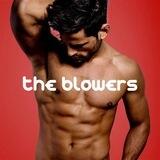The Blowers 🔥