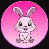 Bunny Coin | DEXSWAP | BRIDGE CHAIN