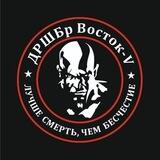 "Силы Добра:ДРШБр Восток"