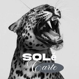SOLé-CARTE.