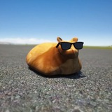 TON PABLO RACER