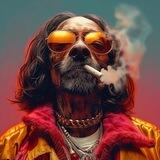 $SNOOP PORTAL