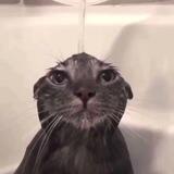 𝗔𝗧𝗕 𝗟𝗘𝗜𝗔𝗥𝗘𝗦