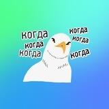 Продуктовый нетворк