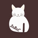 Передержка для котов «ЭлВиС»