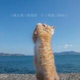 小甜茶天地總站