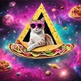 Punk Taco Chat 🌮🐱