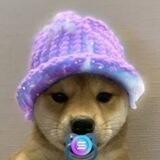 Baby Dog Wif Hat $BWIF
