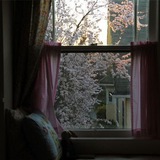“[...] Poesy Panorama: ／ A Sonnetic Reverie through Verbal Vistas.” 📹