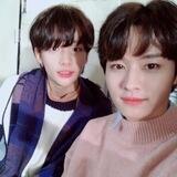 고양이 가족