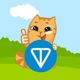 CAT Persik