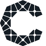 CYBER UNION