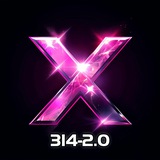 X314-2.0（今晚7点挖矿bnb）