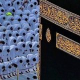 Mustafiylar