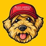 Patton (Trump's First Dog)