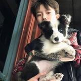 快手评论