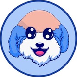 BALDO COIN