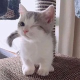 *wink wink*